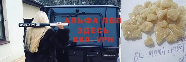 хмурый Алексин