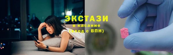 хмурый Алексин