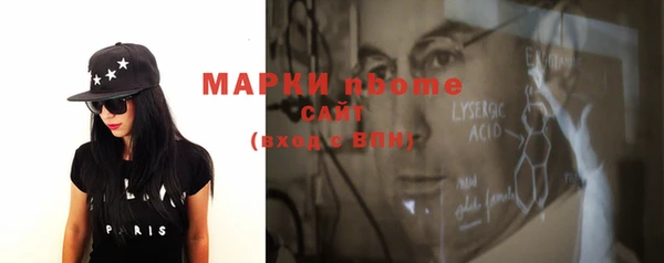 хмурый Алексин