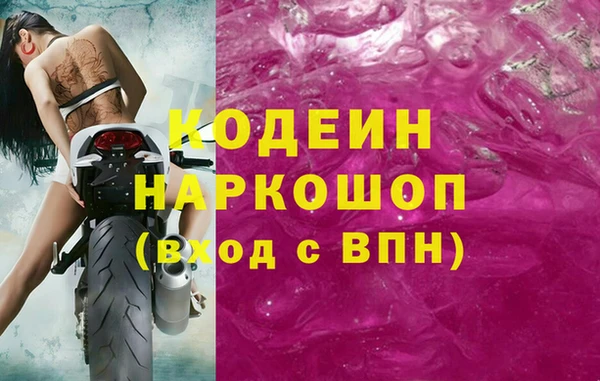 хмурый Алексин