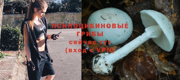 хмурый Алексин
