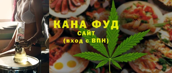 хмурый Алексин