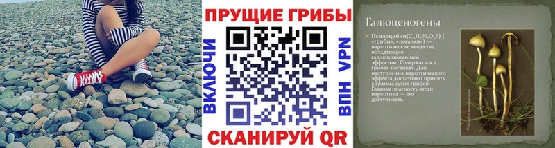 хочу   Игарка  Галлюциногенные грибы прущие грибы 